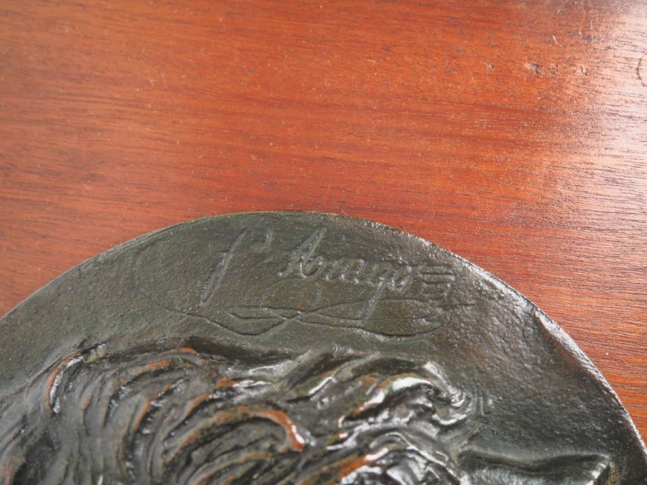 David d'ANGERS.  Médaille en bronze à patine brune "profil d'Arago" Di