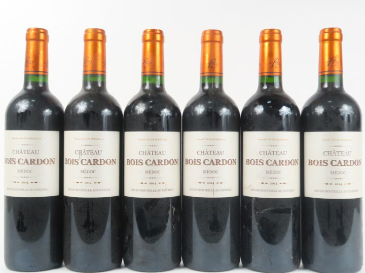 6 BOUTEILLES CHÂTEAU BOIS CARDON MEDOC - 2014