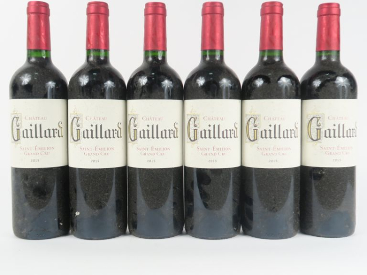 6 BOUTEILLES CHÂTEAU GAILLARD GC ST EMILION - 2015