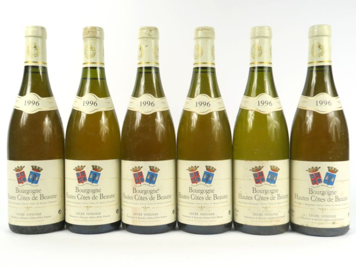6 BOUTEILLES BOURGOGNE HAUTES CÔTES DE NUITS LYCÉE VITICOLE - 1996