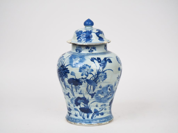 Chine période Qing.  Potiche couverte en porcelaine blanche à décor bl
