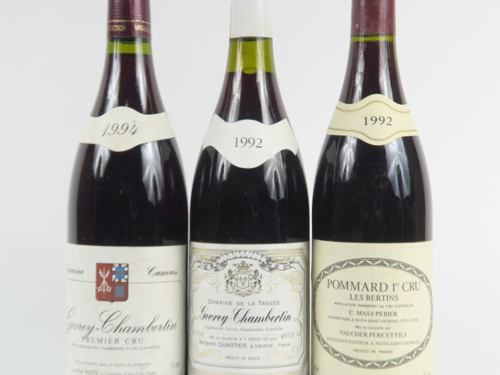 3 BOUTEILLES : 1 GEVREY CHAMBERTIN 1er CRU DOMAINE CAMUS 1994 - 1 POMM