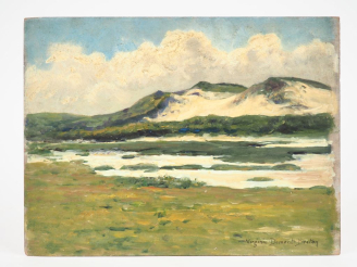 Vente aux enchères Virginie DEMONT-BRETON. "Le communal de Wissant inondé".  Huile sur pa