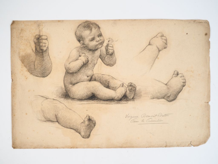 Virginie DEMONT-BRETON.  "Le bébé Pissenlit".  Crayon sur papier. Titr