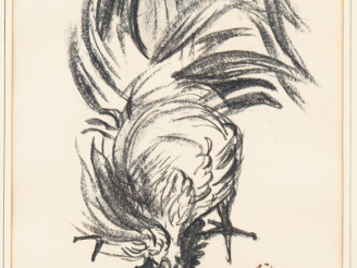 Vente aux enchères PRAFIER.  "le coq" Dessin au fusain, signé en bas à droite Dim. 31 x 2