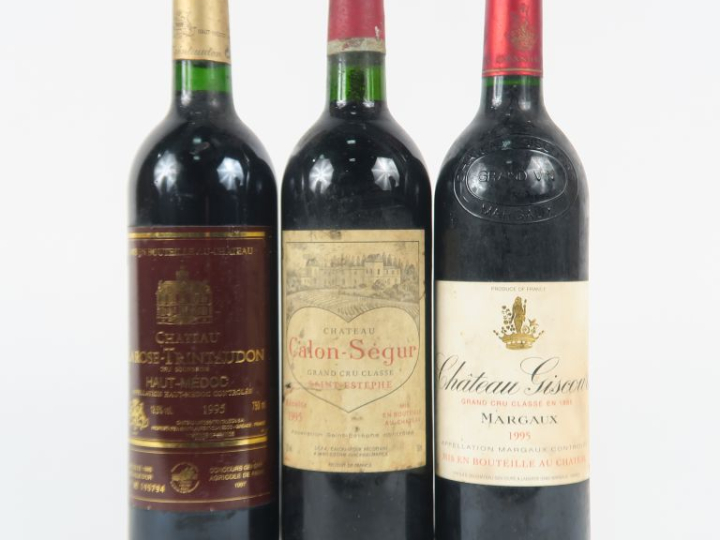 3 BOUTEILLES de 1995 : 1 CHÂTEAU GISCOURS GCC MARGAUX - 1 CHÂTEAU CALO