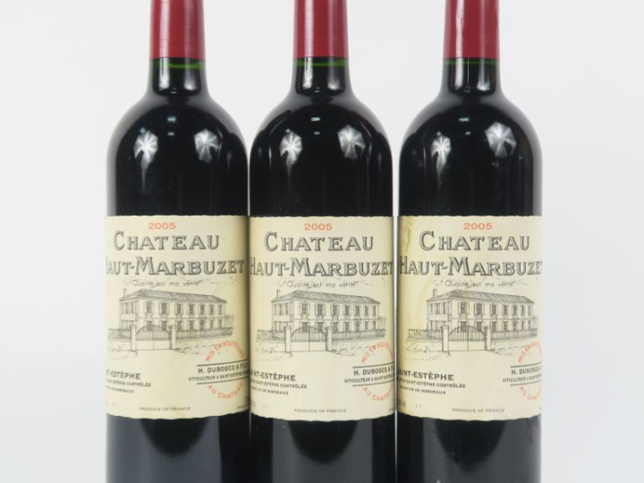 3 BOUTEILLES CHÂTEAU HAUT MARBUZET SAINT ESTEPHE - 2005