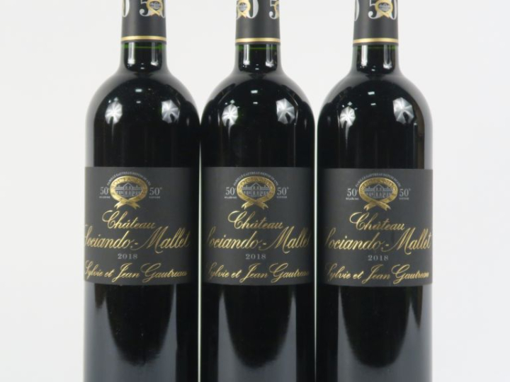 3 BOUTEILLES CHÂTEAU SOCIANDO MALLET '50e MILLÉSIME' HAUT MÉDOC - 2018