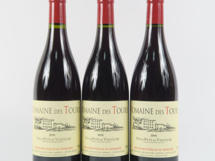 3 BOUTEILLES DOMAINE DES TOURS EMMANUEL RAYNAUD - 2016