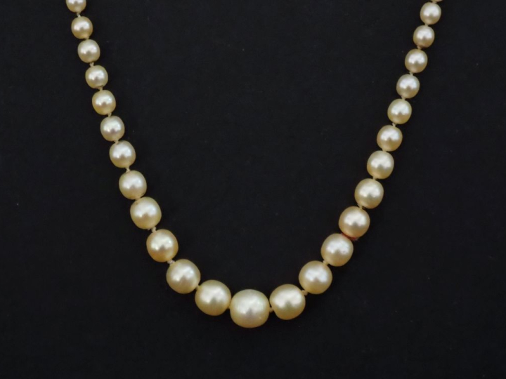 Collier de perles blanches probablement fines diposées en chute.  Ferm