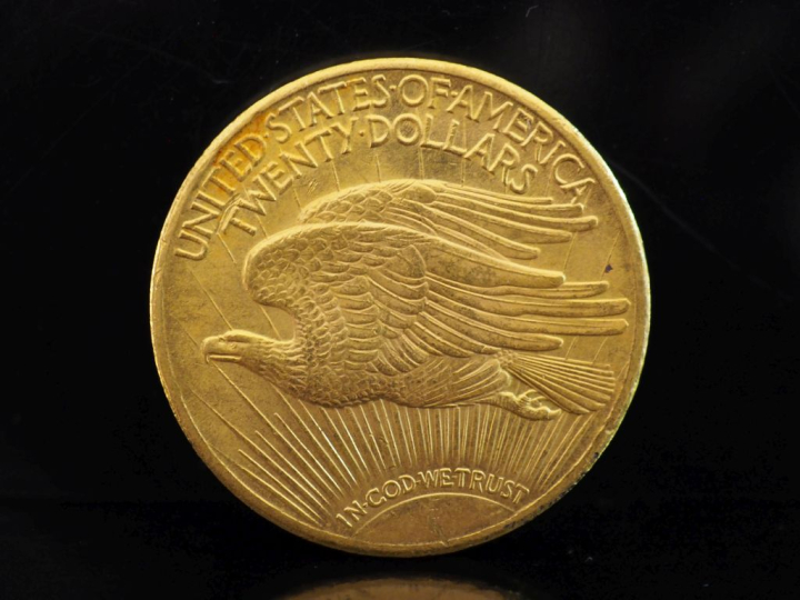 Pièce de 20 Dollars or, 1924. FRAIS ACHETEURS 10% HT.   