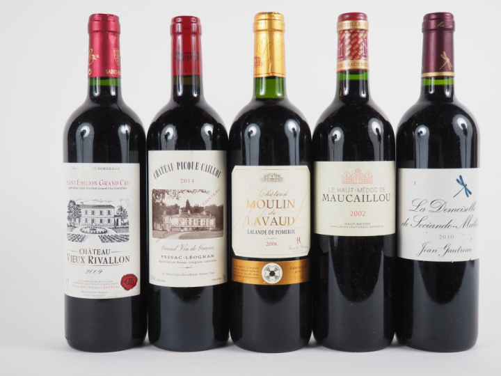 5 BOUTEILLES : 1 CHÂTEAU PICQUE CAILLOU GRAVES 2014 - 1 CHÂTEAU VIEUX 