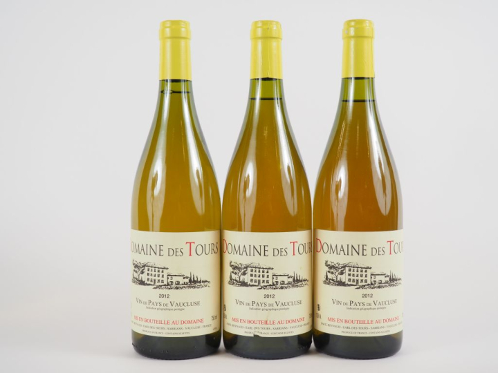 3 BOUTEILLES DOMAINE DES TOURS BLANC EMMANUEL REYNAUD - 2012