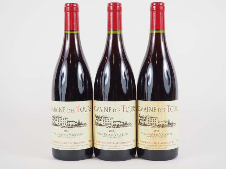 3 BOUTEILLES DOMAINE DES TOURS EMMANUEL RAYNAUD - 2014 - 2 ELT