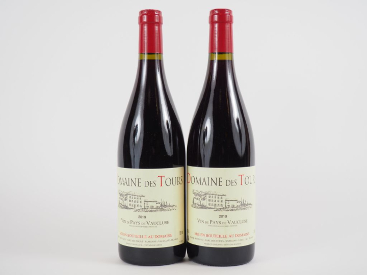 2 BOUTEILLES DOMAINE DES TOURS EMMANUEL REYNAUD - 2019