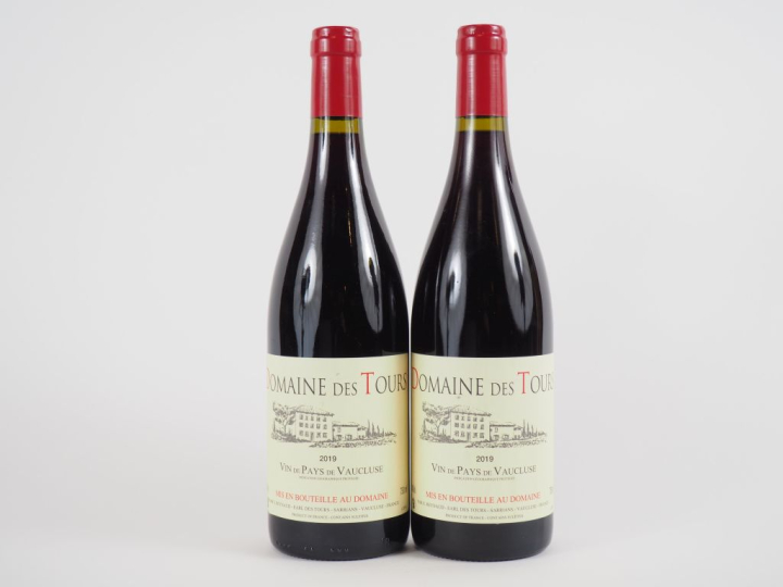 2 BOUTEILLES DOMAINE DES TOURS EMMANUEL REYNAUD - 2019