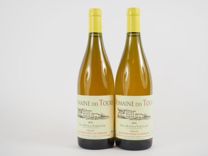 2 BOUTEILLES DOMAINE DES TOURS BLANC EMMANUEL REYNAUD - 2019
