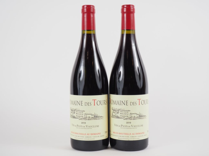 2 BOUTEILLES DOMAINE DES TOURS EMMANUEL REYNAUD - 2019
