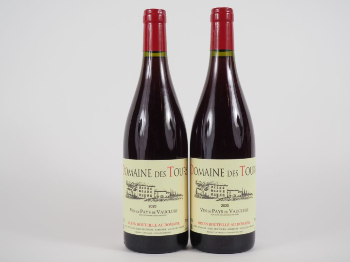 2 BOUTEILLES DOMAINE DES TOURS EMMANUEL REYNAUD - 2020