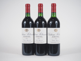 Vente aux enchères 3 BOUTEILLES CHÂTEAU POTENSAC MÉDOC - 1990 - 2 BONS NIVEAUX/1 BG/ETLT