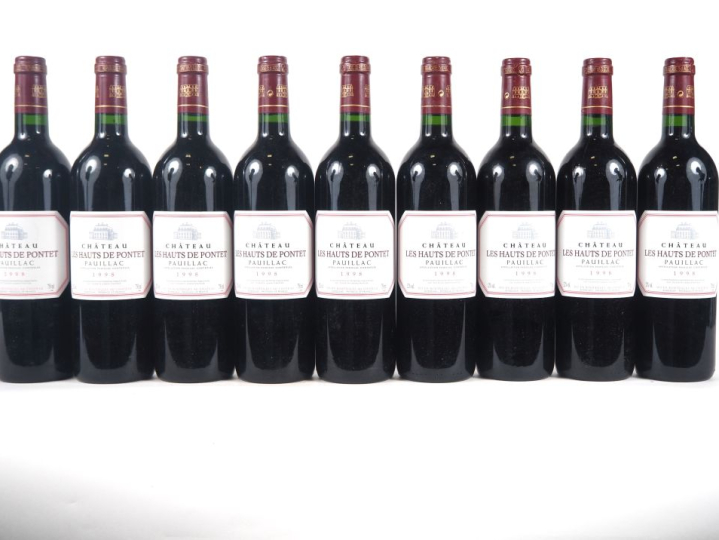 9 BOUTEILLES CHÂTEAU LES HAUTS DE PONTET PAUILLAC - 1998 