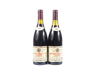 Vente aux enchères 2 BOUTEILLES NUITS ST GEORGES 1er CRU "LES PRULIERS" CHOPIN GESSEAUME 