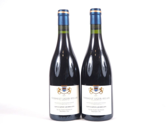 Vente aux enchères 2 BOUTEILLES NUITS ST GEORGES 1er CRU "LES SAINT GEORGES" THIBAULT LIG