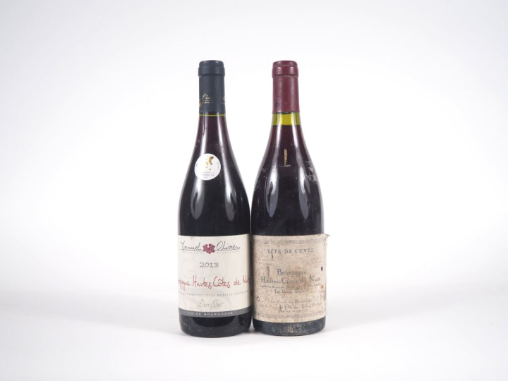2 BOUTEILLES BOURGOGNE HAUTES CÔTES DE NUITS : 1 MANUEL OLIVIER 2013 -
