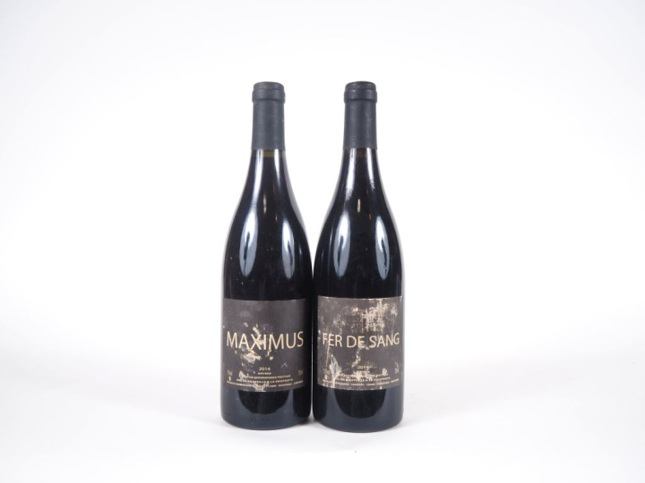 2 BOUTEILLES VIN DE FRANCE IGP AVEYRON 2014 : 1 "MAXIMUS" NICOLAS CARM