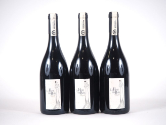 Vente aux enchères 3 BOUTEILLES LE HAUT DU BOIS NÉGRETTE - 2020 