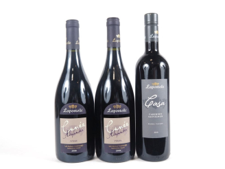 Vente aux enchères 3 BOUTEILLES VIN DU CHILI : 2 BOUTEILLES LAPOSTOLLE CUVÉE ALEXANDRE SY