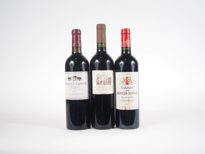 3 BOUTEILLES : 1 BOUTEILLE CHÂTEAU DU MOULIN ROUGE CRU BOURGEOIS HAUT 
