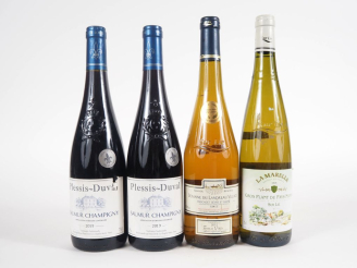 Vente aux enchères 4 BOUTEILLES : 2 BOUTEILLES SAUMUR CHAMPIGNY PLESSIS DUVAL - 2019/1 BO