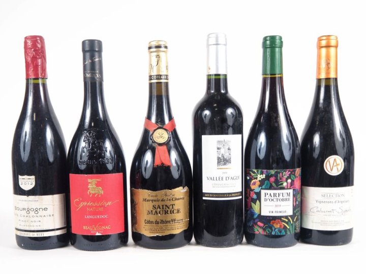 6 BOUTEILLES : 1 BOUTEILLE LANGUEDOC "EXPRESSION" LES COSTIÈRES DE POM