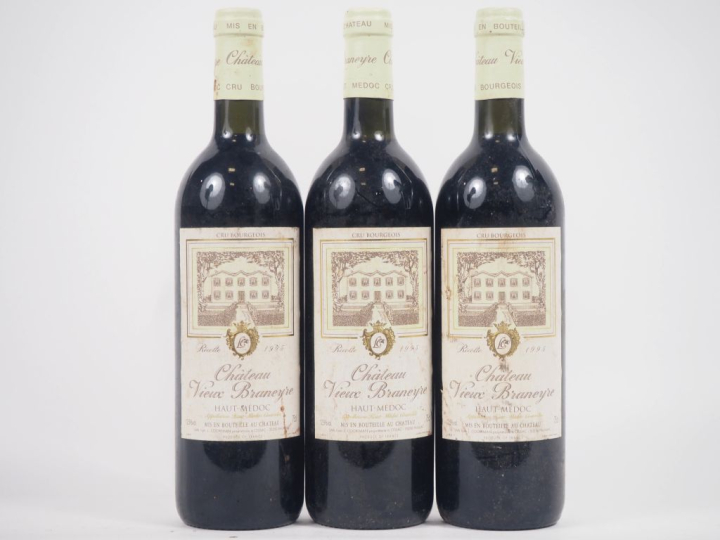 3 BOUTEILLES CHÂTEAU VIEUX BRANEYRE HAUT MÉDOC - 1995 - 2 BONS NIVEAUX