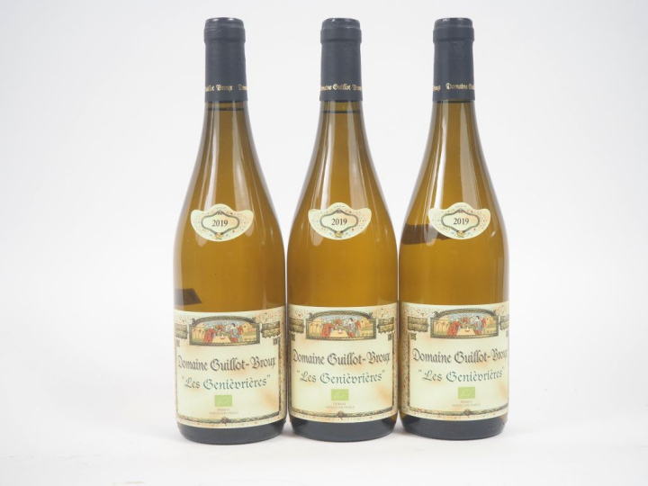 3 BOUTEILLES MACON CRUZILLE "LES GENEVRIÈVRES" DOMAINE GUILLOT BROUX -