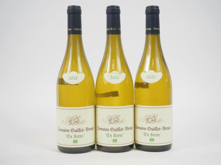 3 BOUTEILLES MACON CHARDONNAY "EN SERRE"  DOMAINE GUILLOT BROUX - 2022
