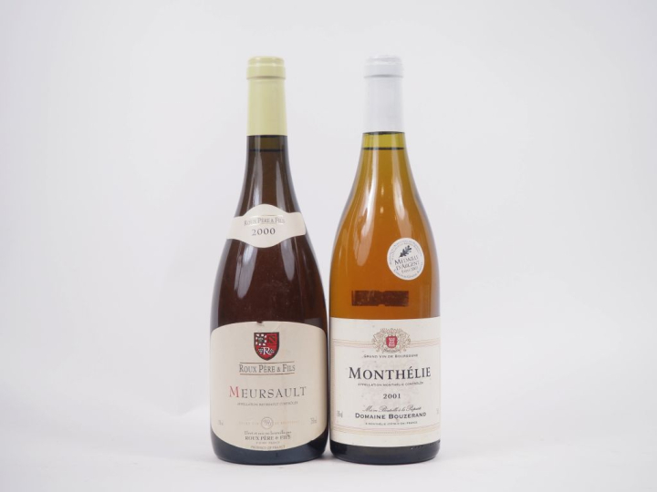 2 BOUTEILLES : 1 MEURSAULT ROUX PÈRE ET FILS - 2000 / 1 MONTHÉLIE DOMA