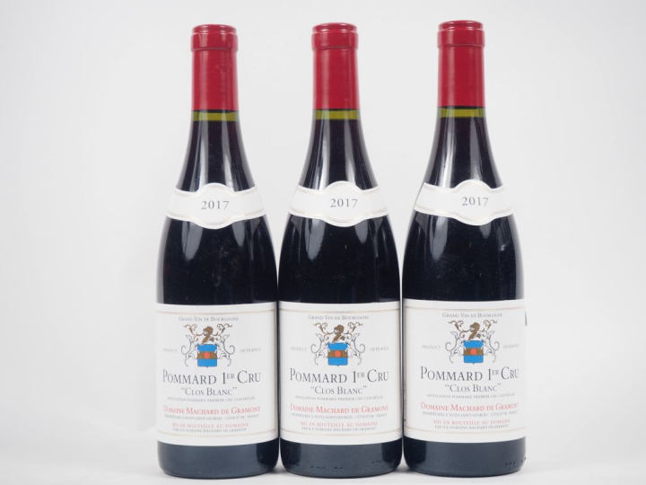 3 BOUTEILLES POMMARD 1er CRU "CLOS BLANC" DOMAINE MACHARD DE GRAMONT -