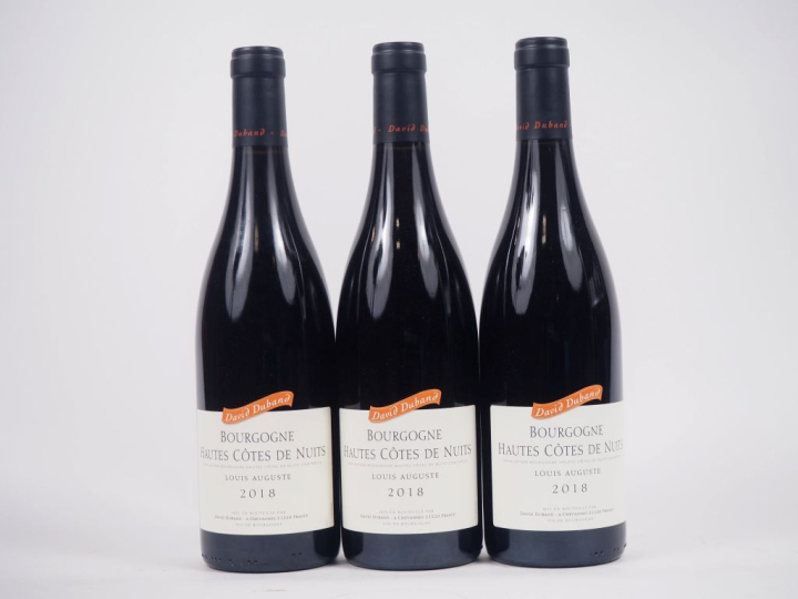 3 BOUTEILLES HAUTES CÔTES DE NUITS "LOUIS AUGUSTE" DOMAINE DAVID DUBAN