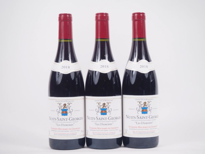 3 BOUTELLES NUITS ST GEORGES "LES DAMODES" DOMAINE MACHARD DE GRAMONT 