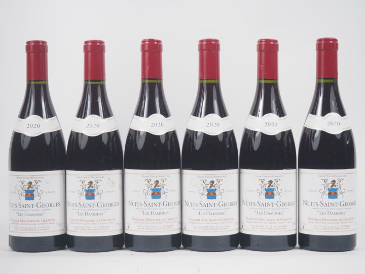 6 BOUTEILLES NUITS ST GEORGES "LES DAMODES" DOMAINE MACHARD DE GRAMONT