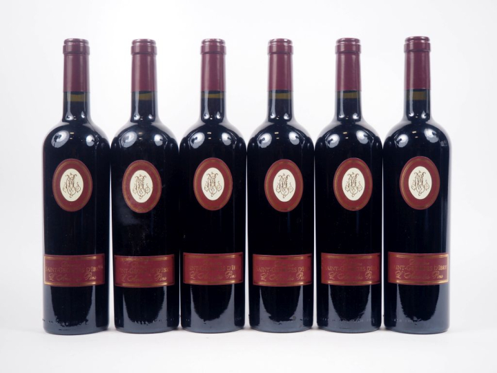 6 BOUTEILLES CÔTES DE THONGUE DOMAINE SAINT GEORGES D'IBRY - 2021