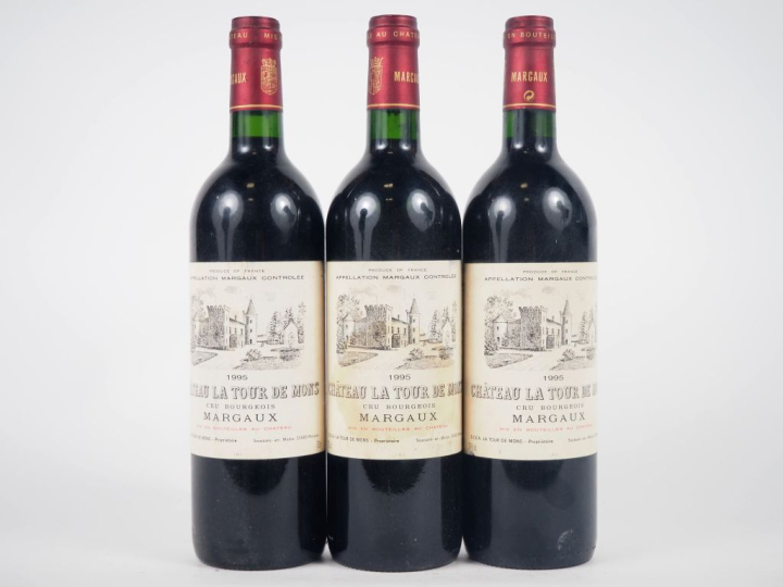 3 BOUTEILLES CHÂTEAU LA TOUR DE MONS CB MARGAUX - 1995 - 1 ET
