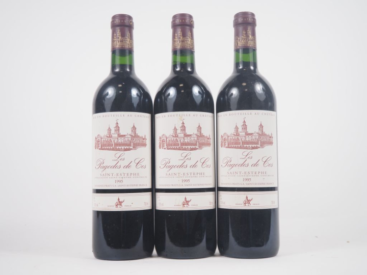 3 BOUTEILLES LES PAGODES DE COS ST ESTÈPHE - 1995