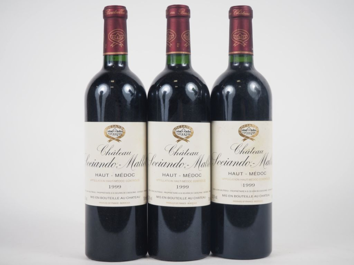 3 BOUTEILLES CHÂTEAU SOCIANDO MALLET HAUT MÉDOC - 1999 - 1 ET