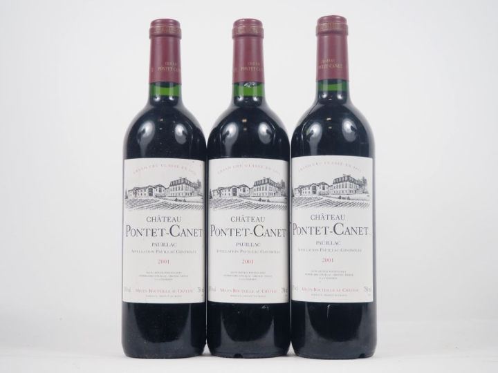 3 BOUTEILLES CHÂTEAU PONTET CANET GCC PAUILLAC - 2001 -  1 ÉTIQUETTE L