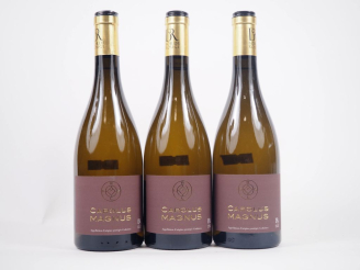 Vente aux enchères 3 BOUTEILLES CAROLUS MAGNUS BLANC CORBIÈRES - 2022