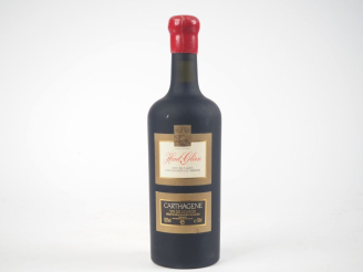 Vente aux enchères 1 BOUTEILLE CARTHAGENE CHÂTEAU HAUT GLÉON