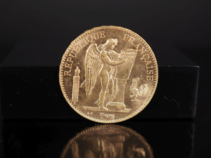 Pièce de 100 Francs or, République Française, 1900-A.  FRAIS ACHETEURS